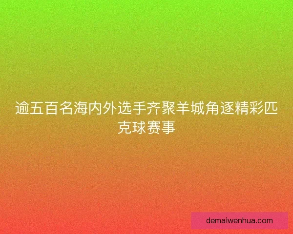 逾五百名海内外选手齐聚羊城角逐精彩匹克球赛事